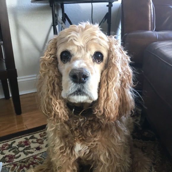 Meet your Posher, Jackie - Picture 1 of 1